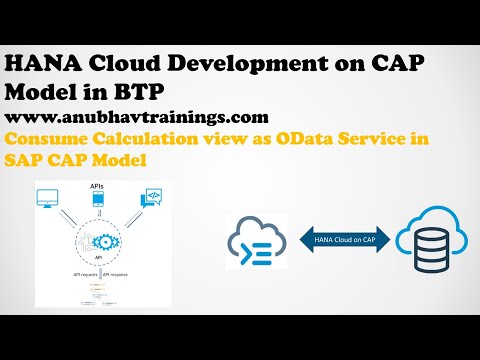 SAP BTP CAPM Professional Development Training | Corporate Training on BTP with HANA Cloud | CAPM