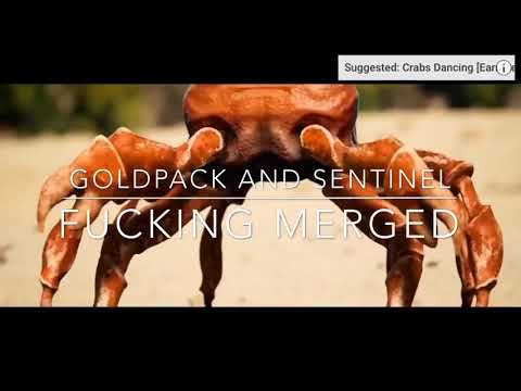 GOLDPACK AND SENTINEL FUCKING MERGED