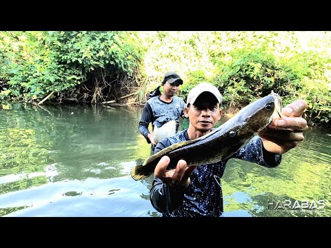 EP777-P1 - Pangingitang sa Ilog | Occ. Mindoro