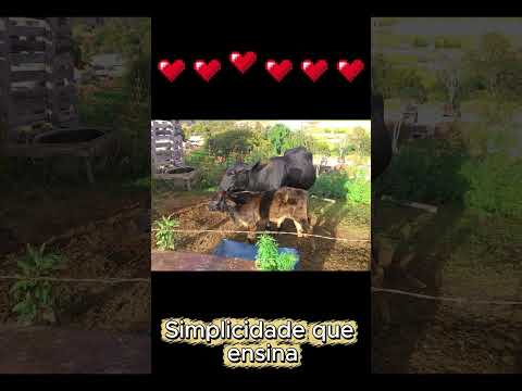 🎒50+ em Tocos do Moji ⛰️Caminho da Prece!