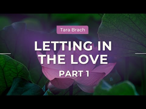 Letting In The Love | Tara Brach on Belonging and Connection (Part 1)