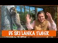 Floris dichtbij de zeldzame Sri Lanka panter ? | DierenpraatTV