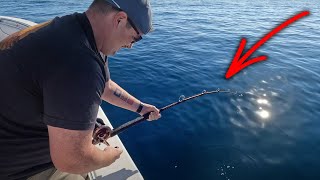 Grouper Fishing is ON FIRE- NC Grouper Fishing
