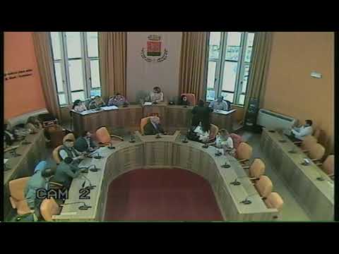 consiglio comunale del  29.04.2019 alle ore 18.00