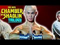 Entire Lore Of The 36th Chamber Of Shaolin Trilogy Explained