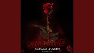 Salvaje