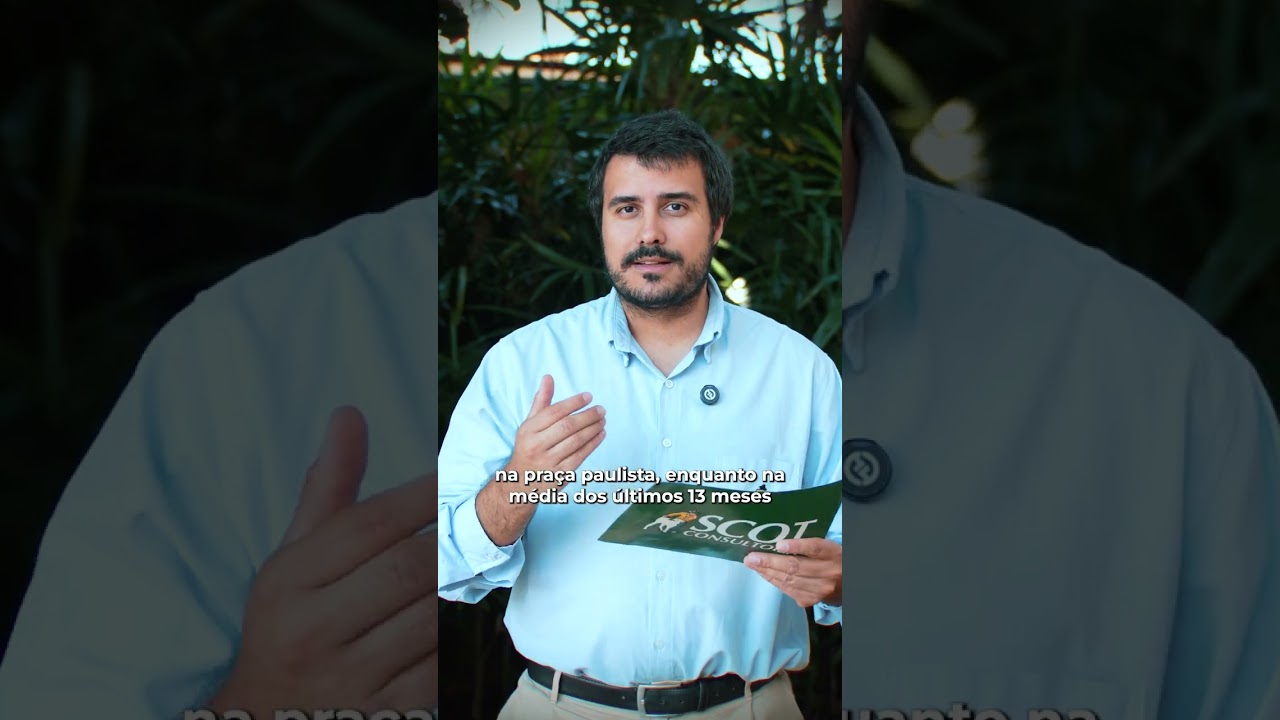 Polpa cítrica: poder de compra do pecuarista é o melhor em um ano