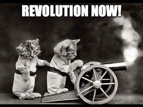 Revolution Now ~ The SYN ~ Featuring Moon Safari