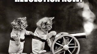 Revolution Now ~ The SYN ~ Featuring Moon Safari