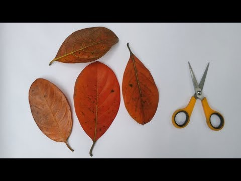 Wonderfull Jackfruit Leaves flowers making idea। Simple home decor