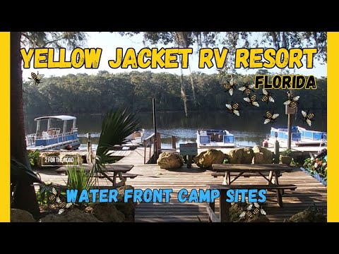 Episode: 79 Waterfront Campsites | Yellow Jacket RV Resort| Right on the Suwannee River | RV Life