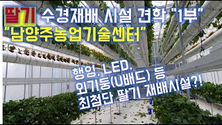 딸기수경재배시설 견학 1부 / 남양주농업기술센터/귀농작물/딸기시설재배