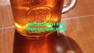 Download lagu STATUS W.A---UNGU mp3