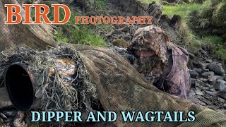 TOP TIPS FOR DIPPERS - NEW RIVER PERMISSION - GET DOWN LOW!!