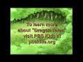 PBS Kids Program Break 2005 WNET Reupload