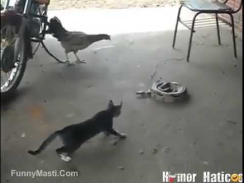 Darr kisi ko v lg skta h