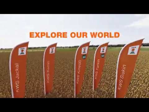 Welcome to our World...