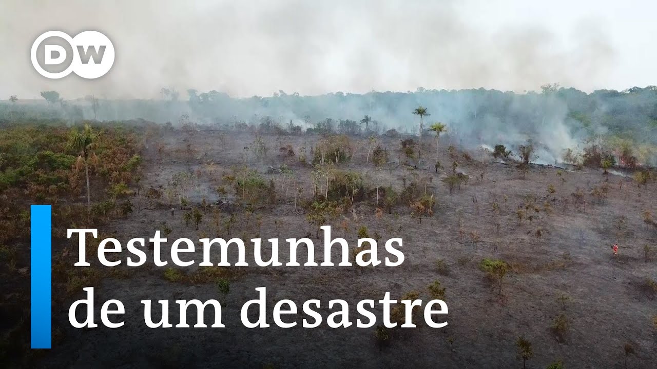 Documentário | As cientistas da Amazônia - Parte 1