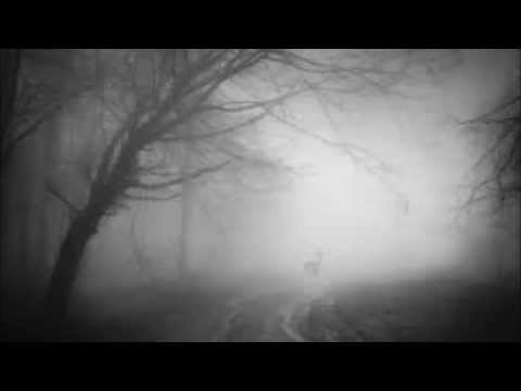 Eigenart // Deep Shadows