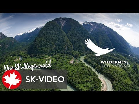 Wildnis in Kanada schützen: Der SK-Regenwald in British Columbia