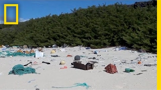 38 Million Pieces of Plastic Trash Cover This Remote Island | National Geographic
