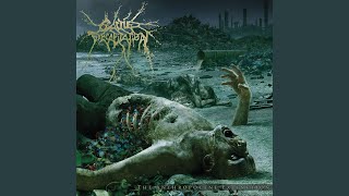 Clandestine Ways (Krokodil Rot)