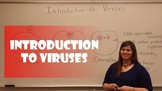 Introduction to Viruses