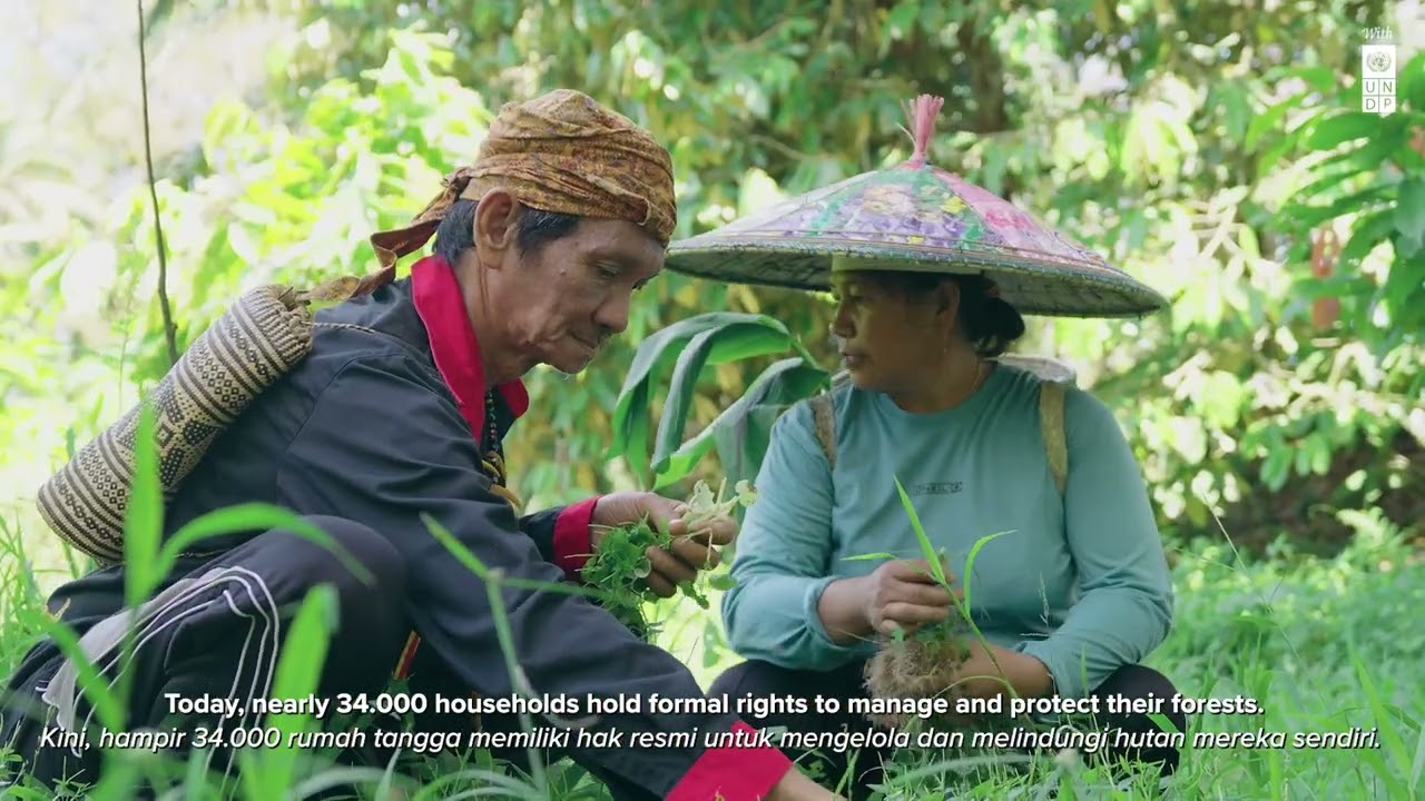 A Journey Through the Archipelago - UNDP Indonesia 2021-2025