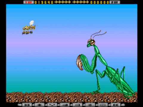 Apidya soundtrack - Praying Mantis