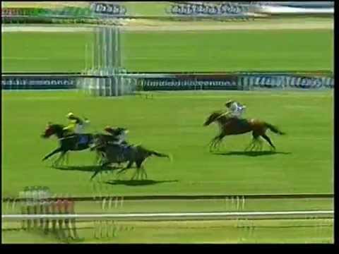 2013-03-09 Turffontein - race 2