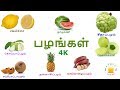 பழங்கள் குழந்தை தமிழ் Learn Tamil Fruits Name Video For Kids A