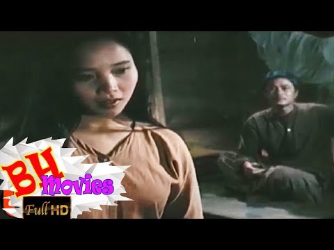 Cây Bạch Đàn Vô Danh