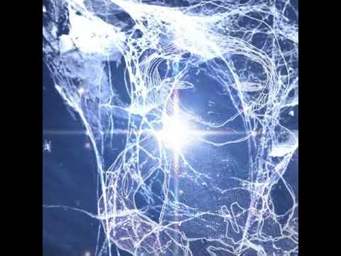 H369 w/ ANTNK & DJ Traytex - Watching Stars [free download]