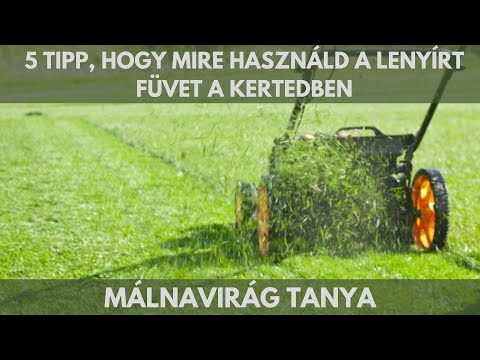 5 tipp, hogy mire használd a lenyírt füvet a kertben