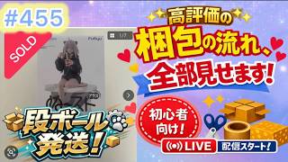 No455【梱包ライブ】段ボール発送！ ホロライブ ぬーどるストッパーフィギュア プラス 獅白ぼたん