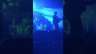 Levellers - The Fear - Llandudno 29.02.20