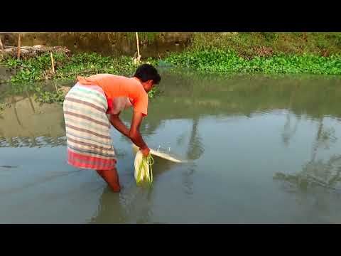 Most Satisfying Cast Net Fishing Video Catch Tons of Fish /Traditional Net Catch Fishing on River