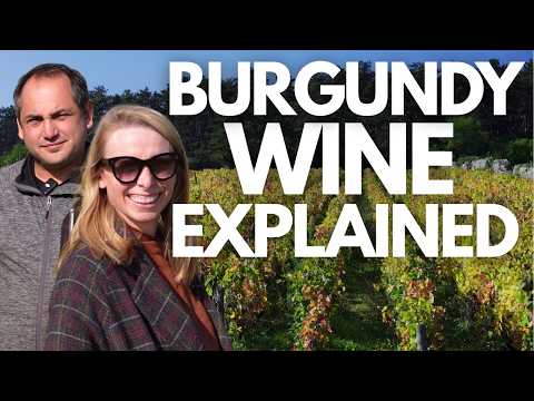 Beginner's Guide to Burgundy Wine