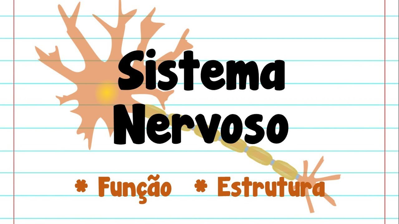 7# Sistema nervoso - Função e Estrutura