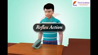 Control and Coordination - Reflex Action Mechanism