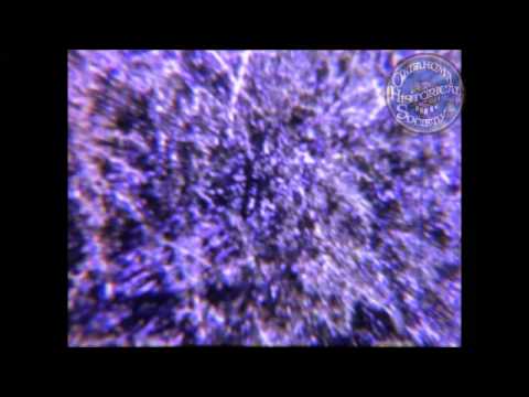 Reel #12: May 5, 1961 to June 21, 1961