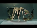 Snake With Legs Rick And Morty Season 4