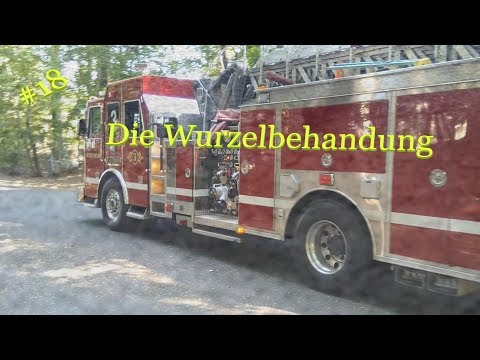 Vlogtober 18.10.2019 -  Die Wurzelbehandlung