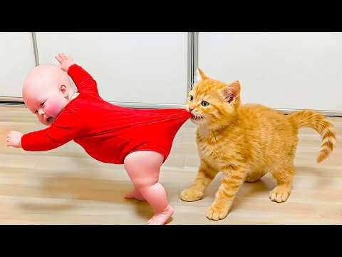 Try Not To Laugh: Funny Babies & Cats Playing Together - Adorable Baby Moments || Baby Vibes