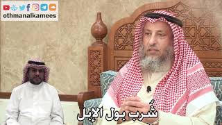 332 - شُرب بول الإبل - عثمان الخميس
