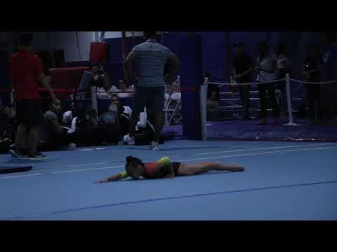 Thi Nguyen 1st Floor Olympic Dreams Invite 2017 Wildfire Gymnast Level 5