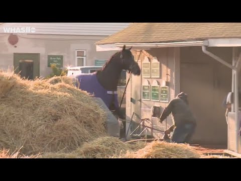 Kentucky Derby Horse 'Midnight Bourbon' Got Loose And Caused Chaos At Churchill Downs
