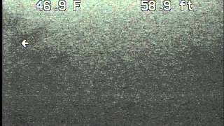 preview picture of video '2013-05-16 Mendota - Catfish'