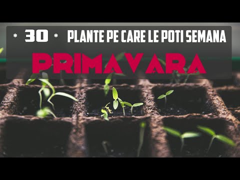 , title : '30 PLANTE pe care le poți SEMĂNA în PRIMĂVARA aceasta !'