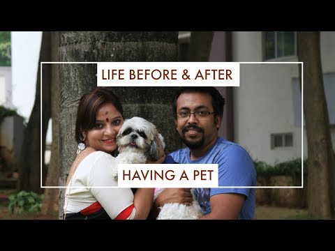 Life Before And After Having A Pet | How Our Lives Changed After Flurry